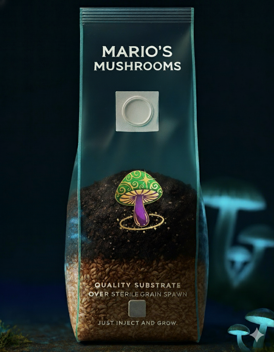 Mario’s Mushrooms™ All-In-One Sterilized Mushroom Grow Kit | Complete Bag with Grain & Substrate